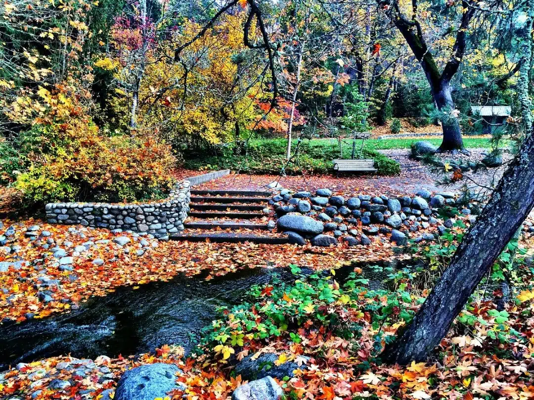 Lithia Park
