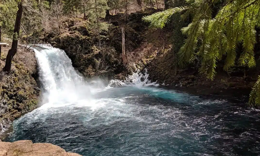 McKenzie River Trai McKenzie River Trai