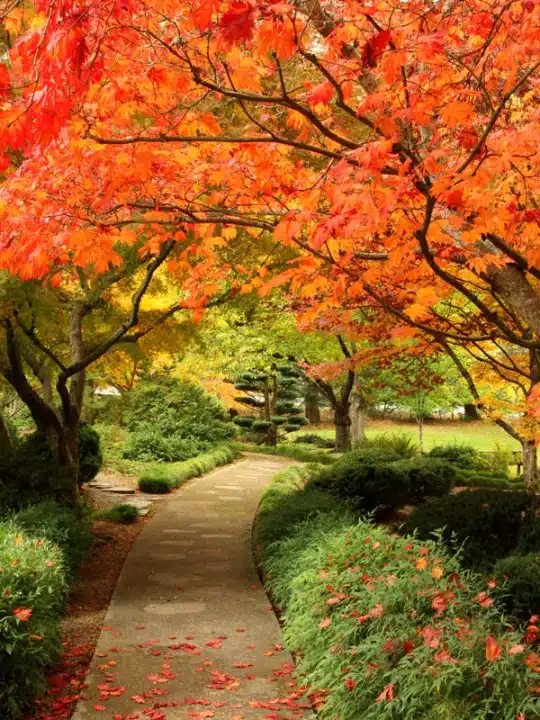 Lithia Park, Ashland Lithia Park, Ashland