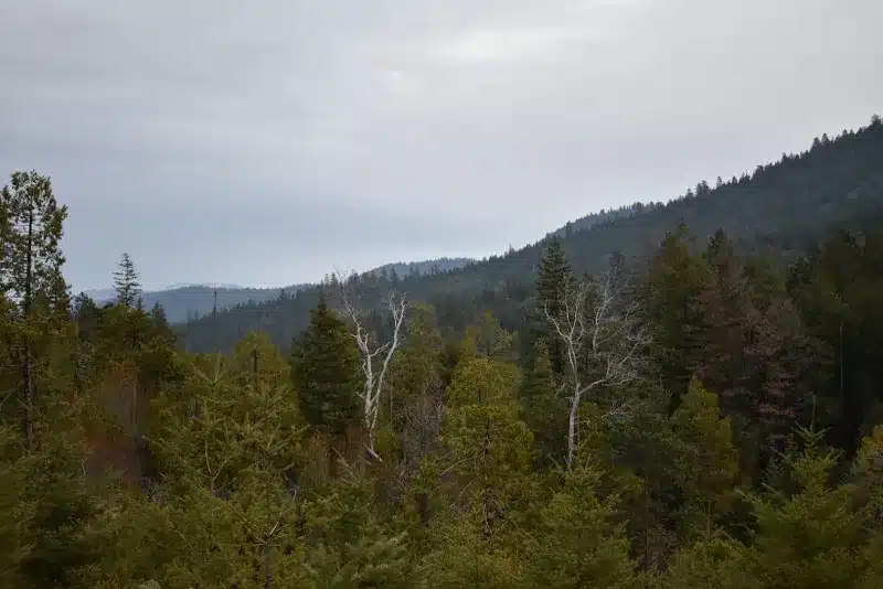 Wagner Creek Wagner Creek