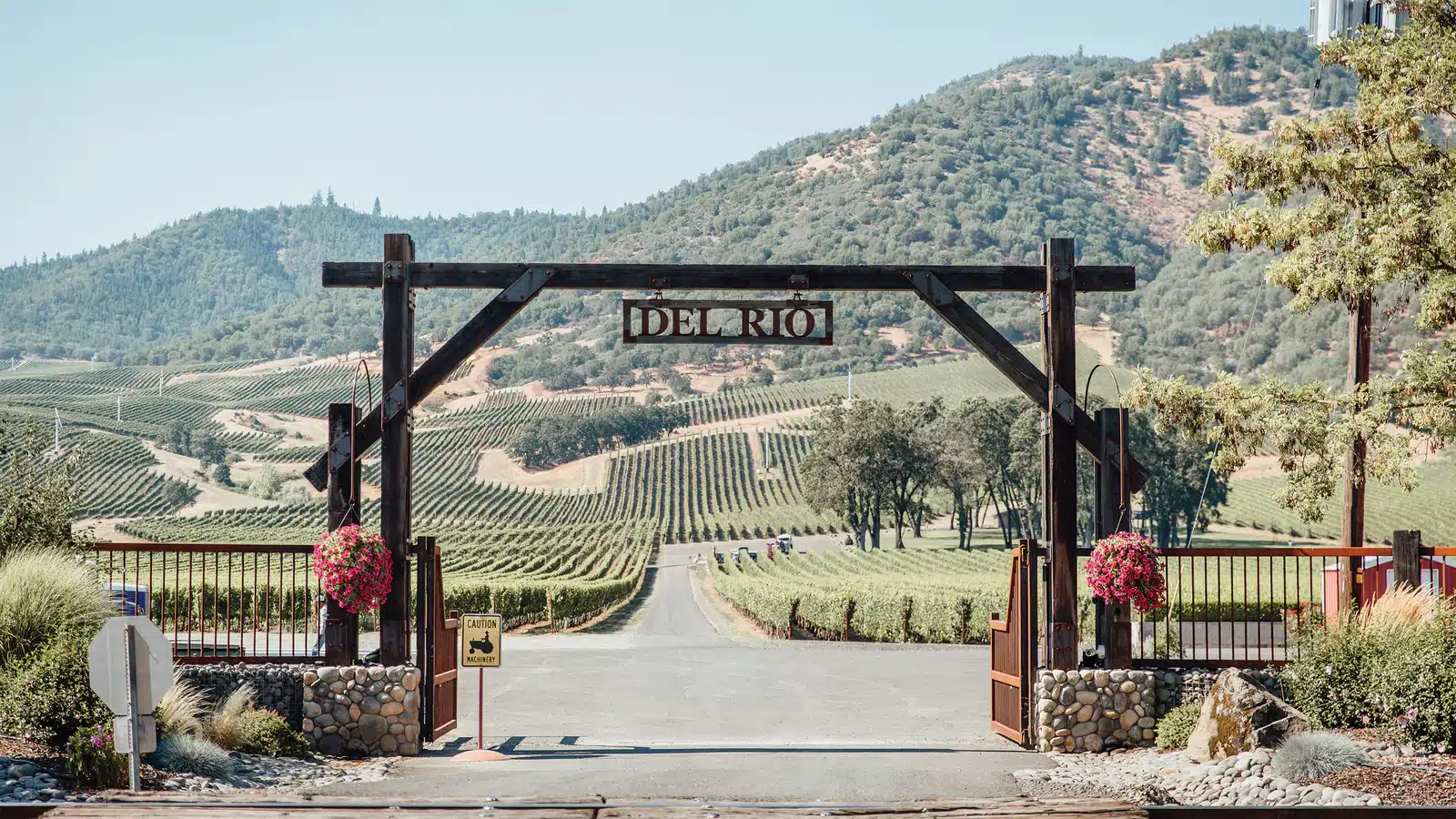Del Rio Vineyards