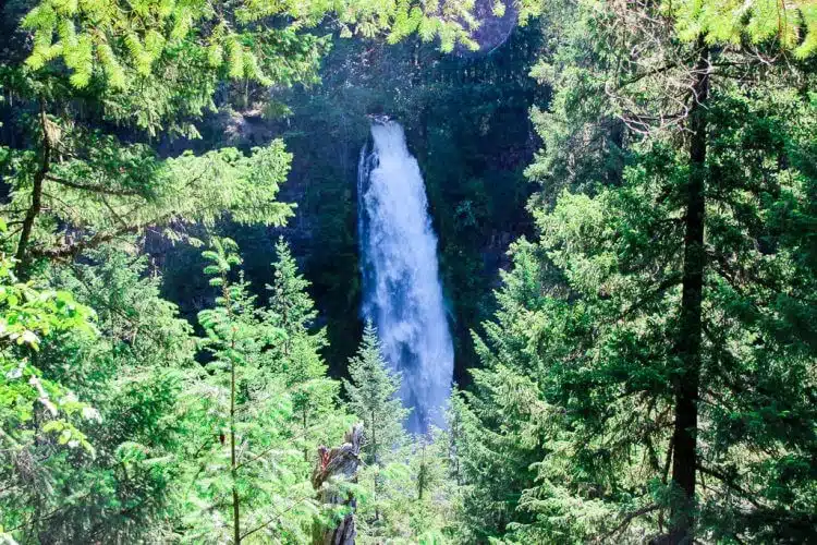 Prospect State Scenic Viewpoint
