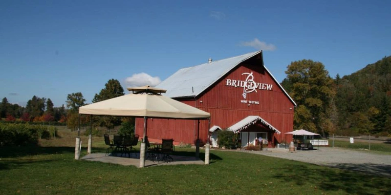 Spray foam insulation in Bridgeview Vineyard and Winery
