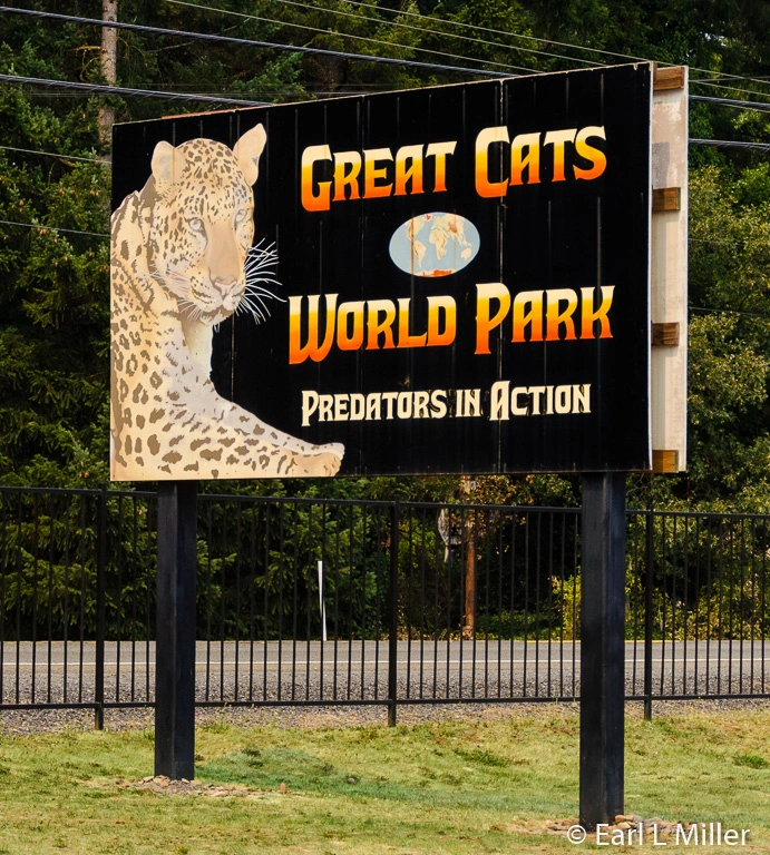 spray foam insulation, service in Great Cats World Park
