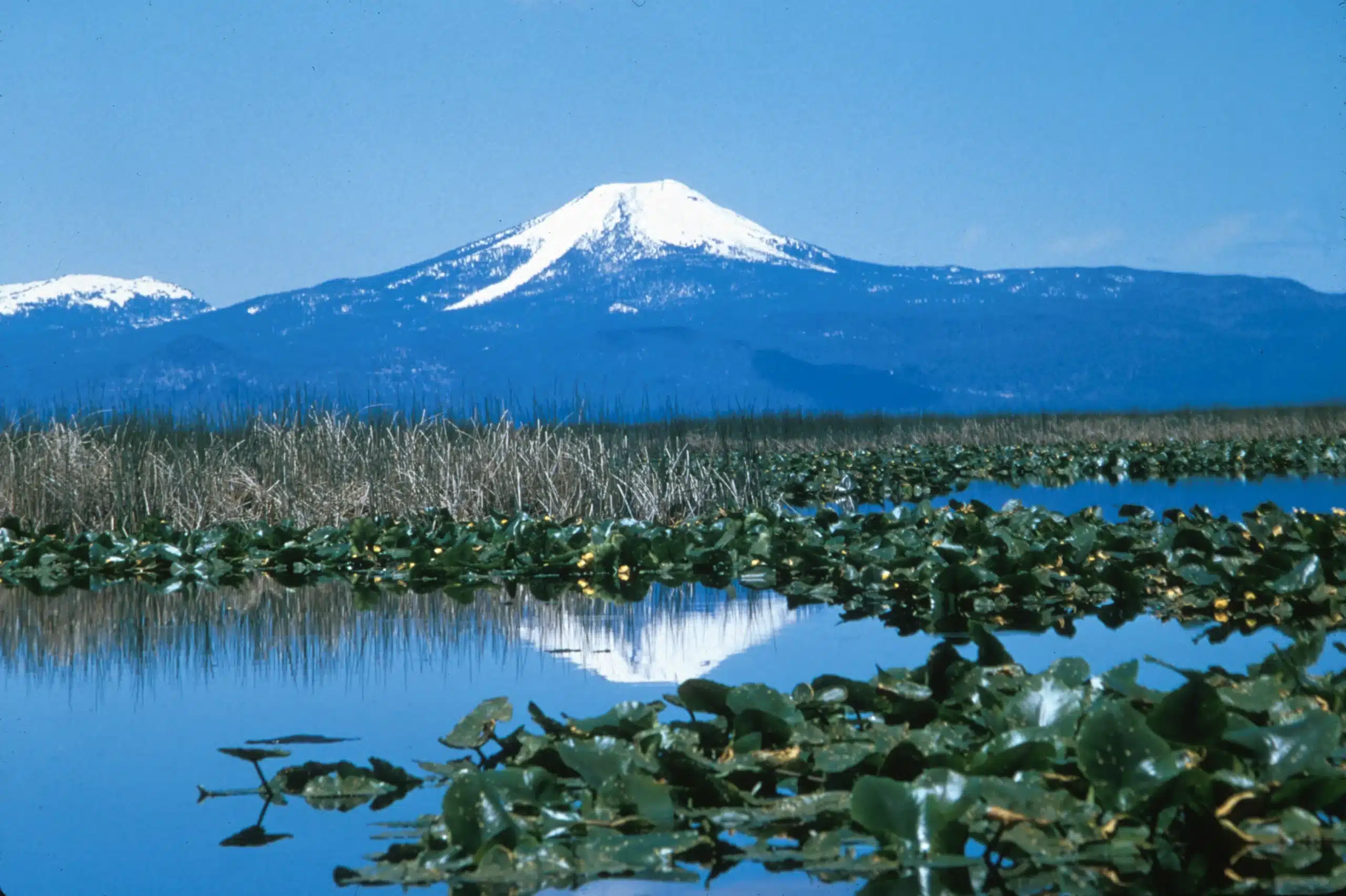 Klamath Basin National Wildlife Refuges
