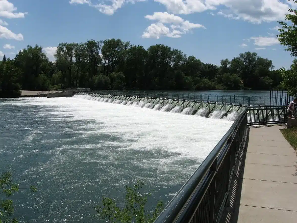 Sacramento River Trail