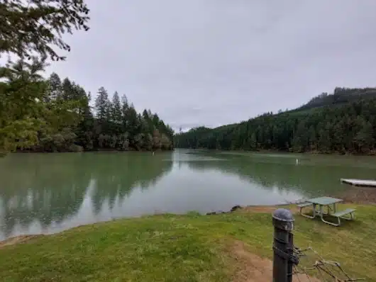 Cooper Creek Reservoir