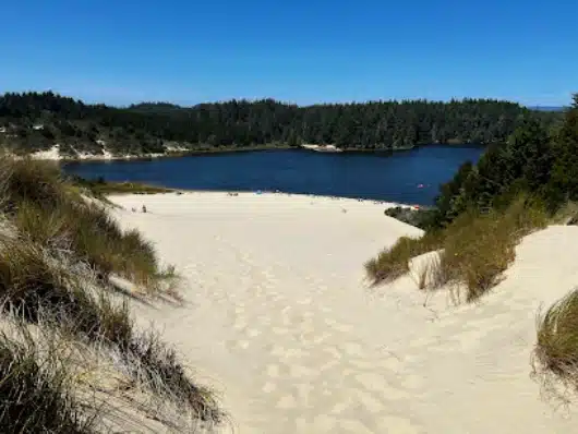 Jessie M. Honeyman Memorial State Park