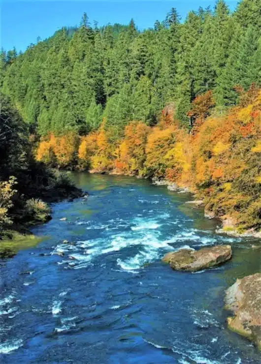Umpqua River
