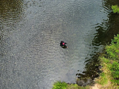 Coquille River