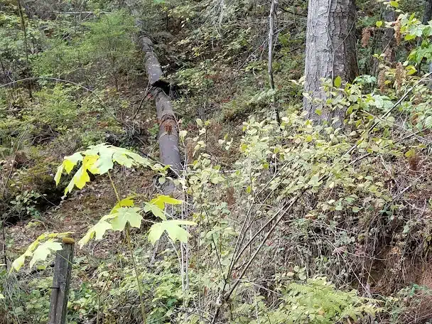 China Ditch Historic Site
